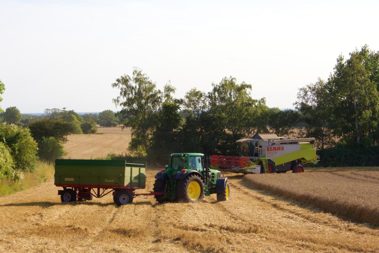 Backhaus Meeresblick Meeschendorf Bagian luar foto